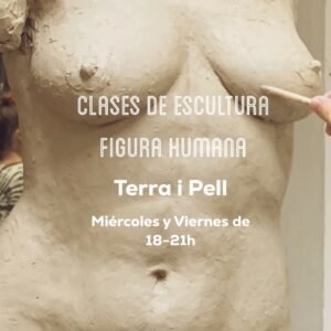 Clases de Escultura Figura Humana.  4 Sesiones